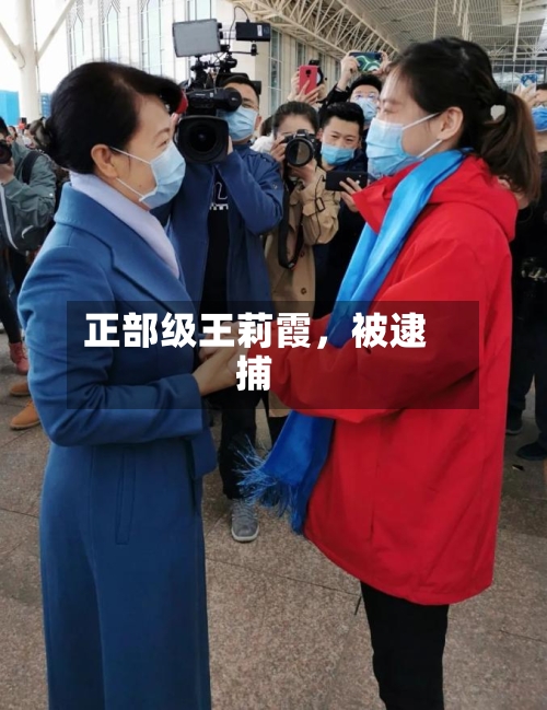 正部级王莉霞	，被逮捕-第2张图片