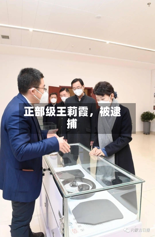 正部级王莉霞，被逮捕-第3张图片