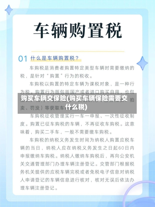 购买车辆交保险(购买车辆保险需要交什么税)-第2张图片