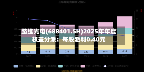路维光电(688401.SH)2025年年度权益分派：每股派利0.40元-第2张图片