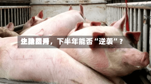 生猪费用止跌回升，下半年能否“逆袭”？