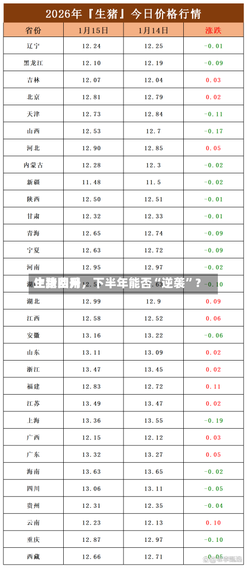 生猪费用止跌回升，下半年能否“逆袭	”？-第2张图片