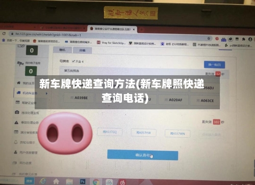 新车牌快递查询方法(新车牌照快递查询电话)