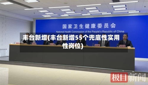 丰台新增(丰台新增55个兜底性实用性岗位)
